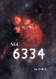 6334轴承重量